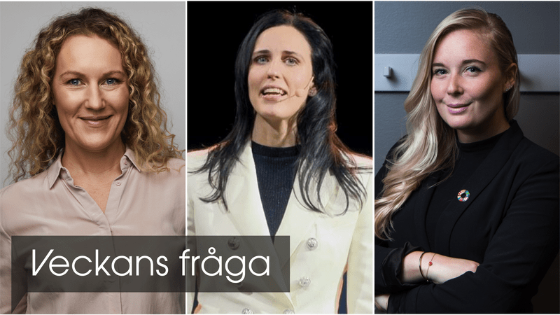 Åse Ericson, Storytel, Helena Tronner, Knowit och Annie Lindmark, Vinnova om hur techbranschen ska bli mer jämställd.